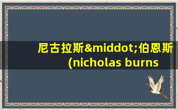 尼古拉斯·伯恩斯(nicholas burns)